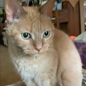 Meet your Posher, William